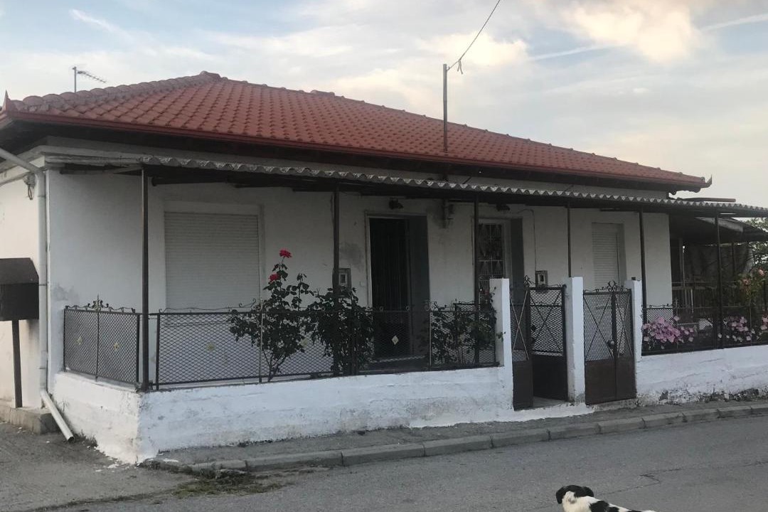 Photo of Others in Katerini