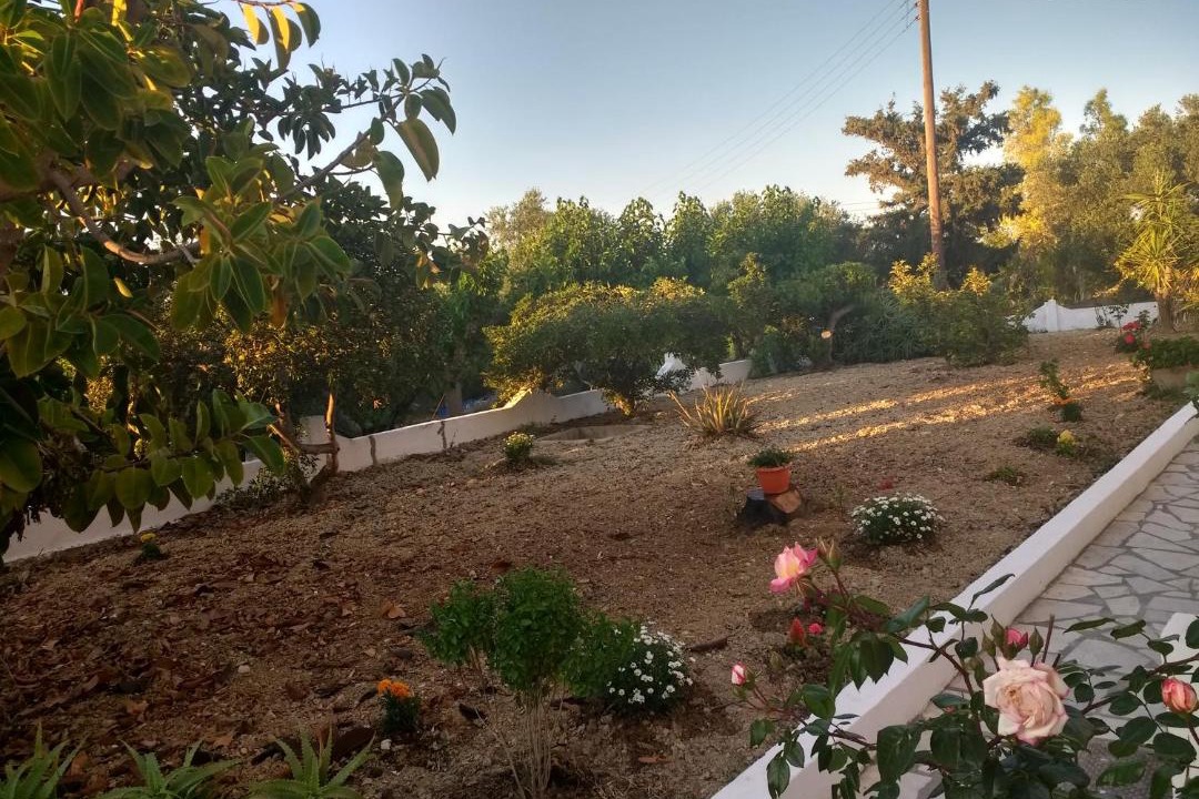 Photo of Others in Adelianos Kampos