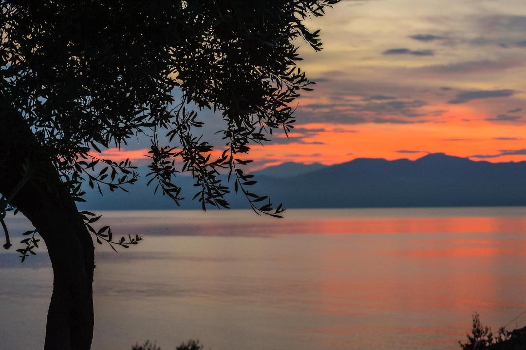 Photo of Others in Paxos