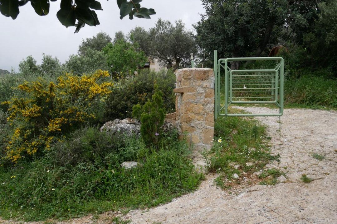 Photo of Others in Milia