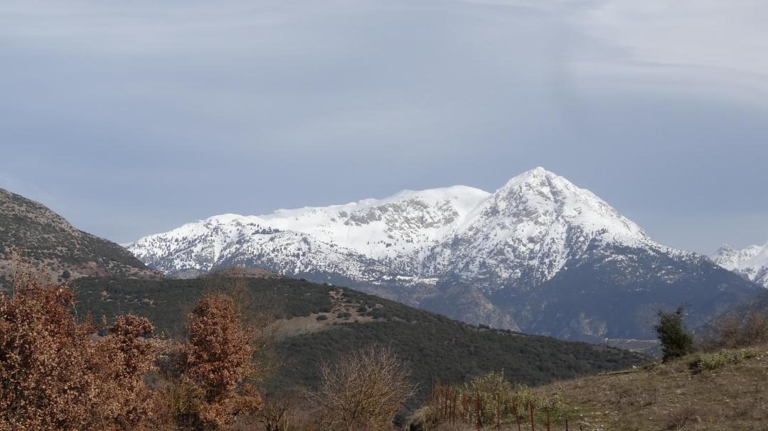 Photo of Others in Kalavrita