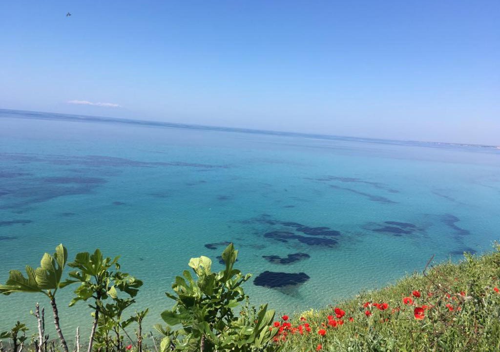 Photo of Outdoor in Nea Potidaia
