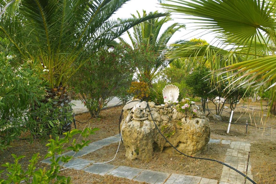 Photo of Others in Kounopetra