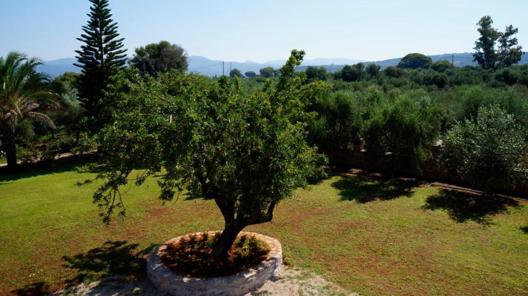 Photo of Others in Kiparissia