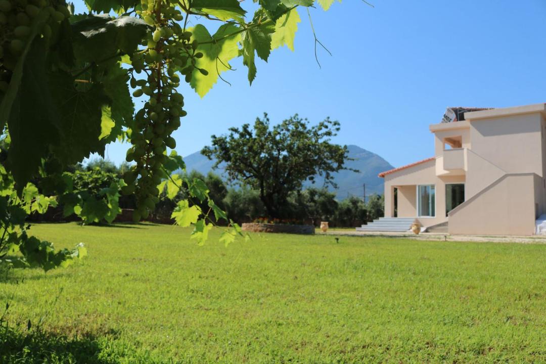 Photo of Others in Kiparissia