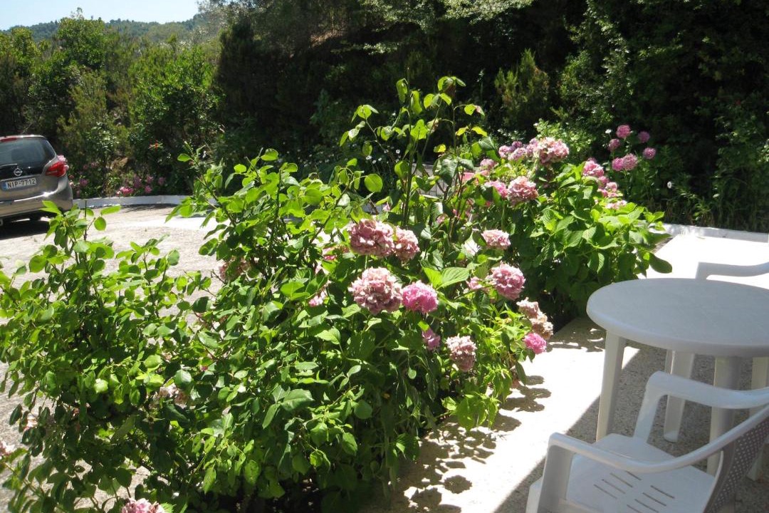 Photo of Others in Agia Paraskevi