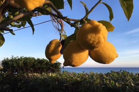 Photo of Outdoor in Parelia