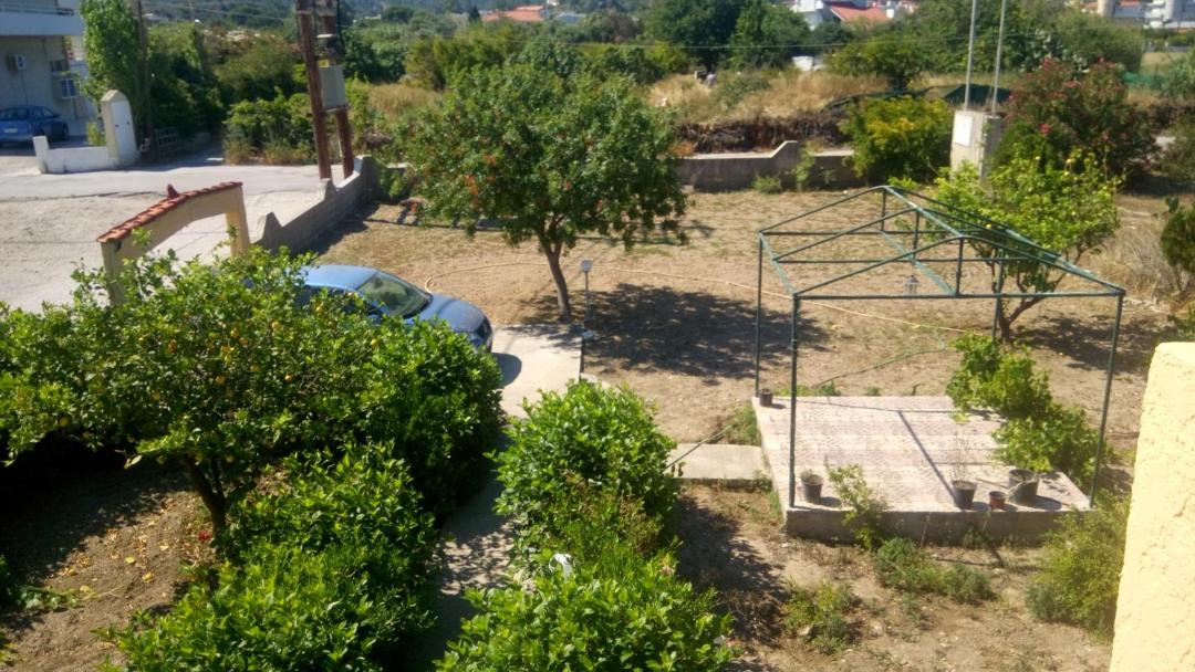 Photo of Others in Petaloudes