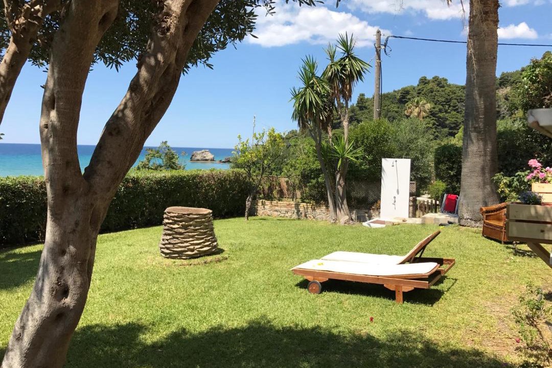 Photo of Others in Parelia