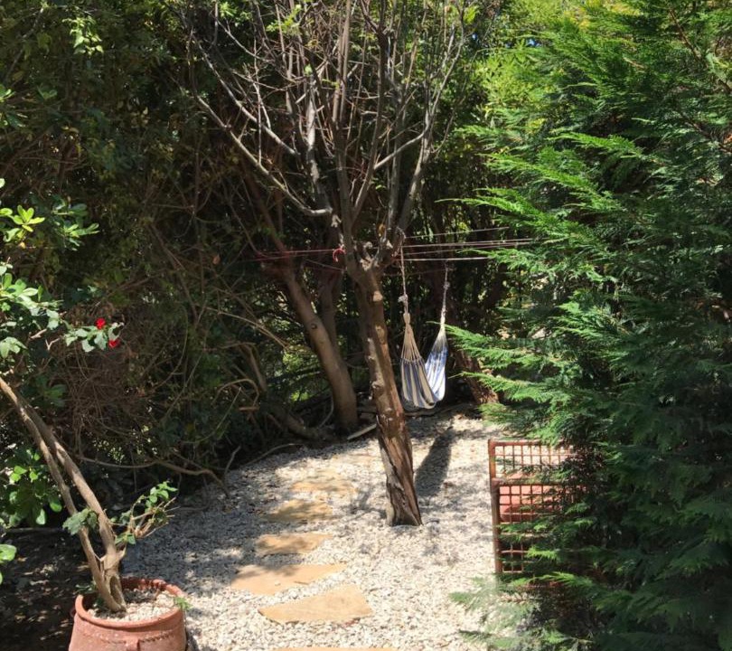 Photo of Others in Parelia