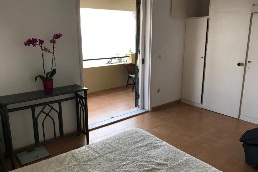 Photo of Others in Parelia