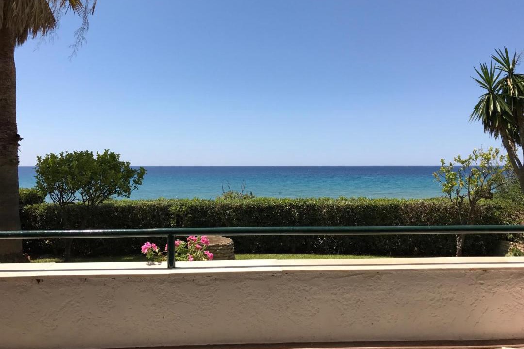 Photo of Others in Parelia