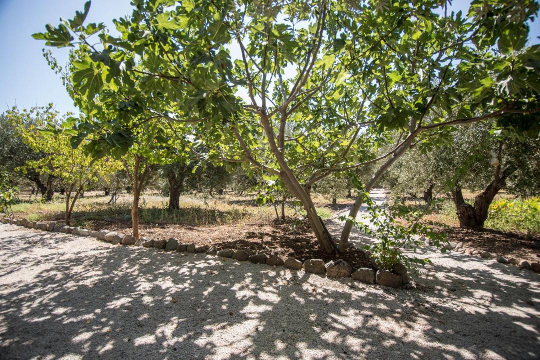 Photo of Others in Mithimna