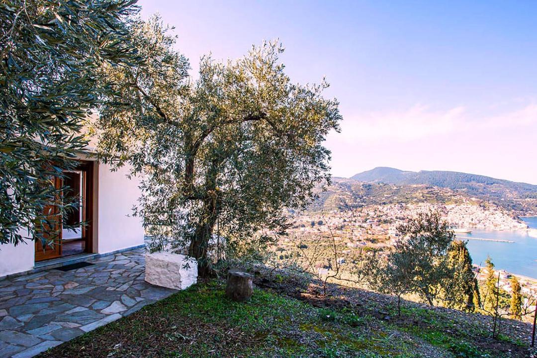 Photo of Others in Skopelos