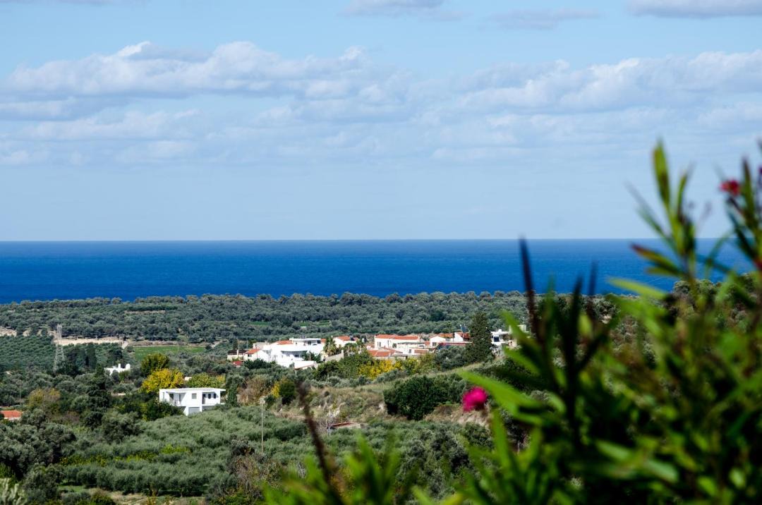 Photo of Outdoor in Agia Triada