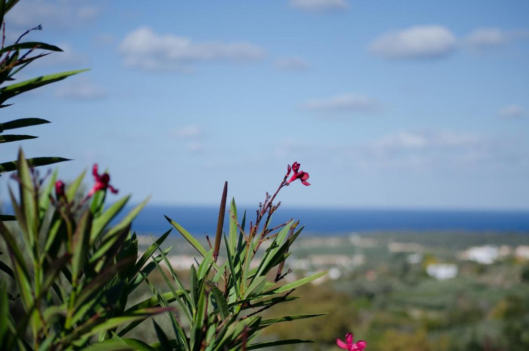 Photo of Outdoor in Agia Triada