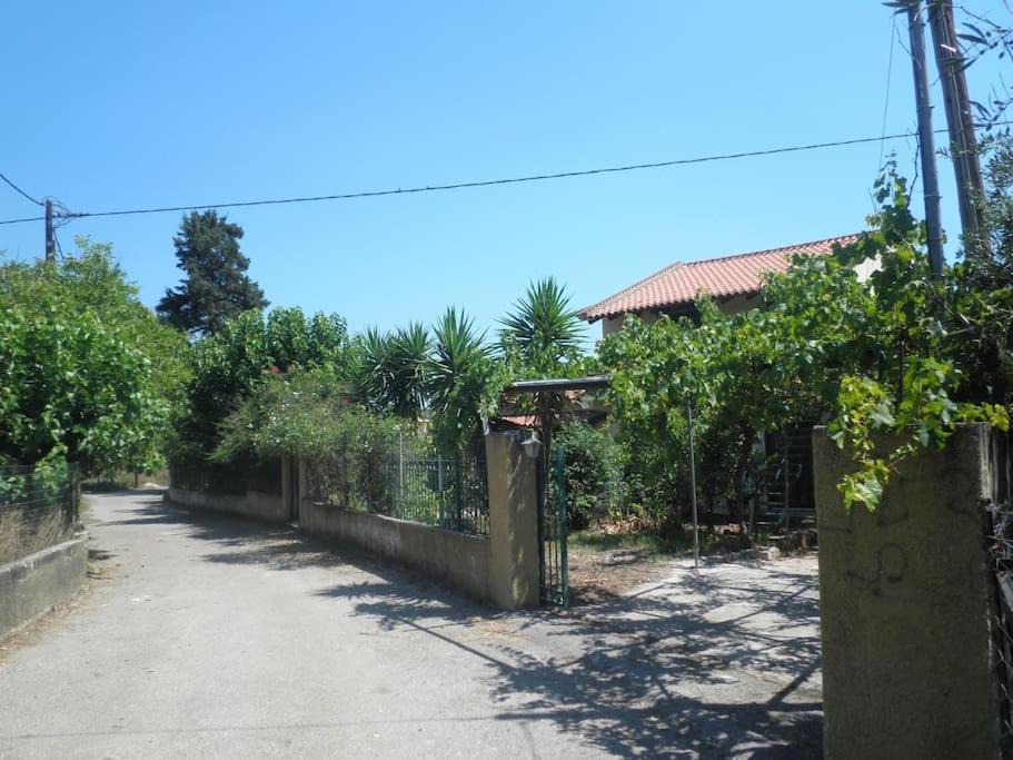 Photo of Others in Apokoronas
