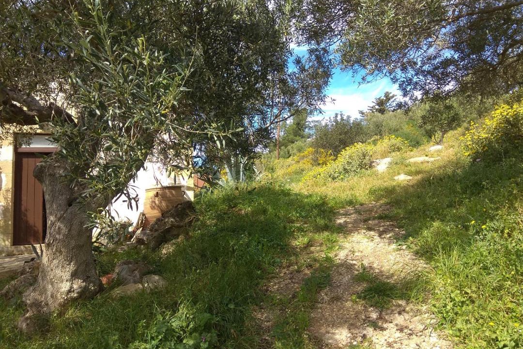 Photo of Others in Milia