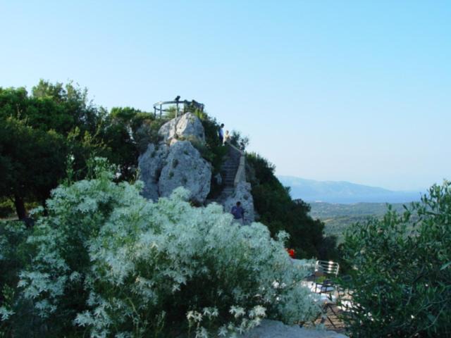 Photo of Others in Pelekas