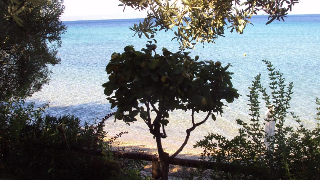 Photo of Others in Paradhisos