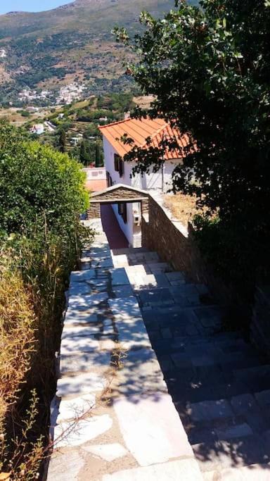 Photo of Others in Andros Town