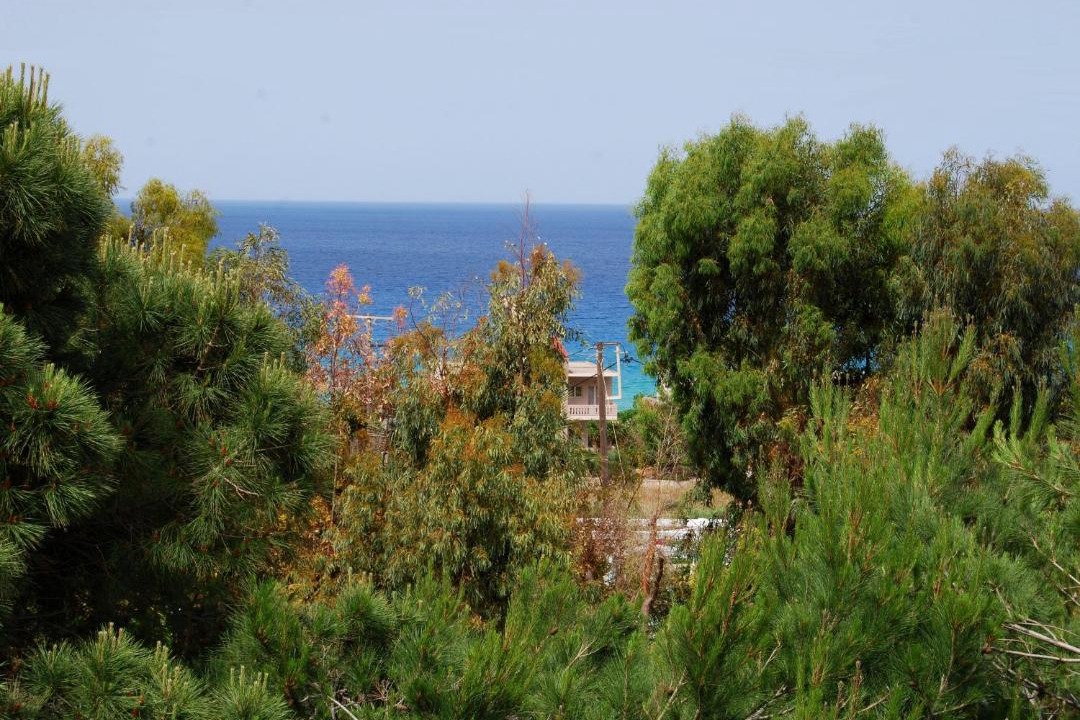 Photo of Others in Falassarna