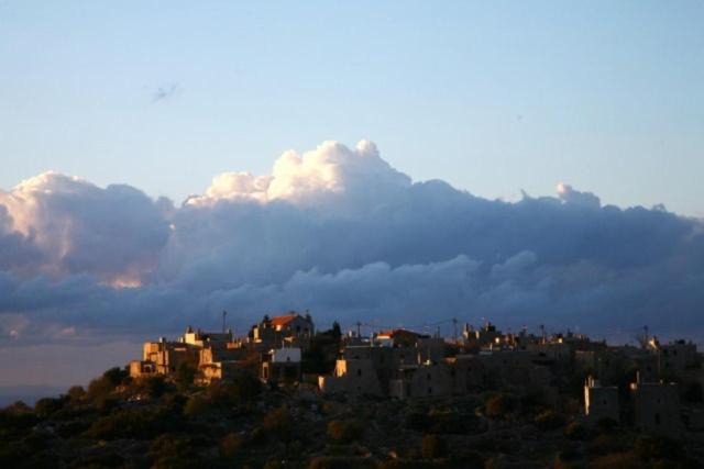 Photo of Others in Avgonima
