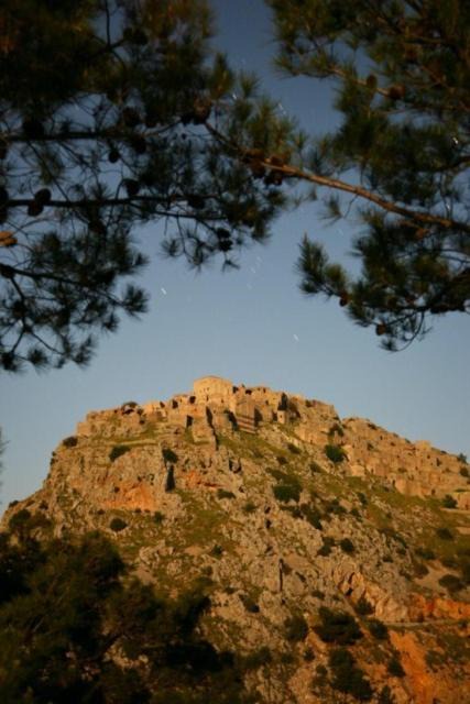 Photo of Others in Avgonima