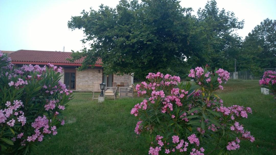 Photo of Buildings in Samothrace