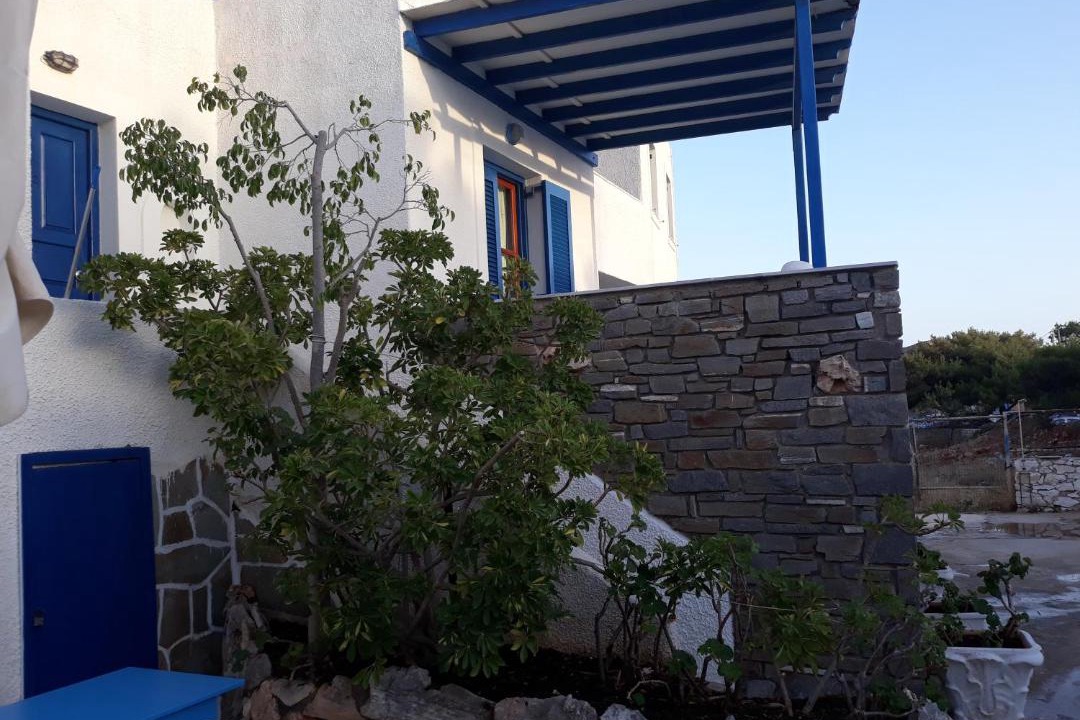 Photo of Others in Aliki