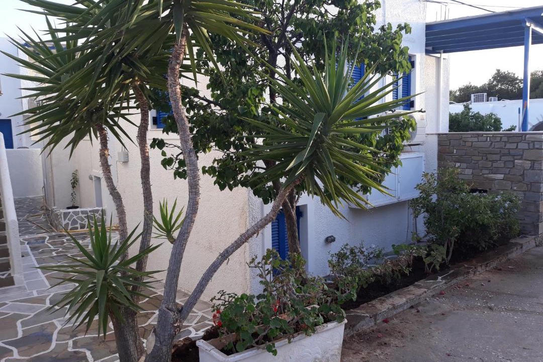 Photo of Others in Aliki