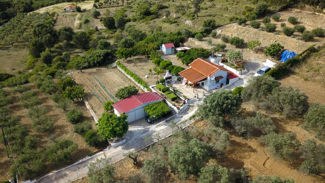 Photo of Others in Samos