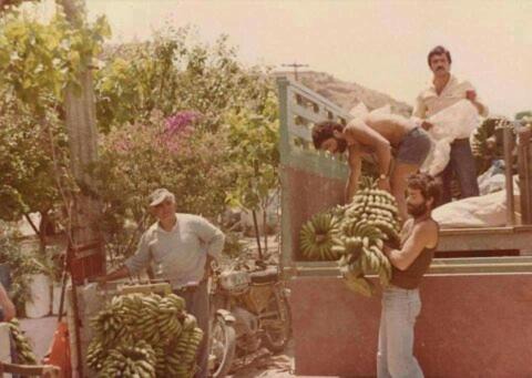 Photo of Others in Arvi