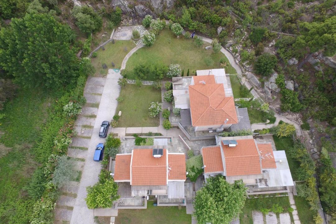 Photo of Others in Elia