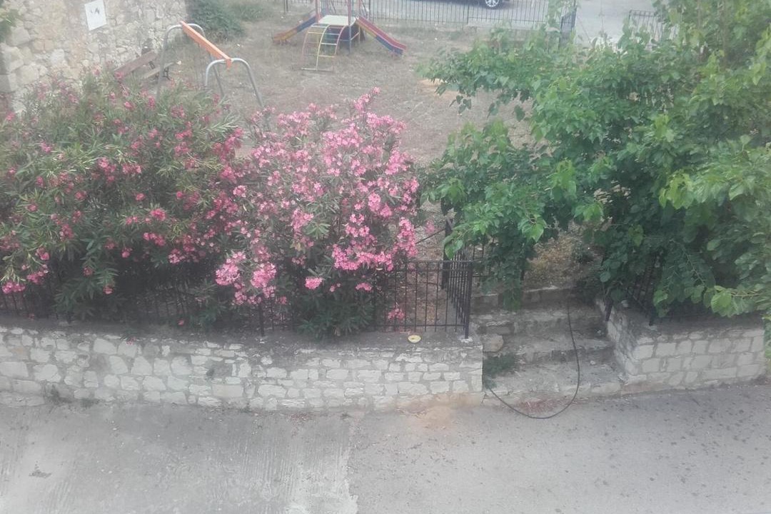 Photo of Others in Katochori