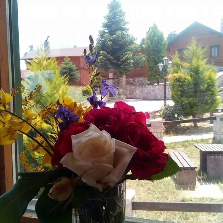 Photo of Others in Mesaia Trikala