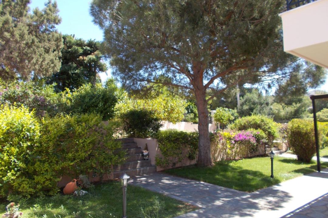 Photo of Others in Palaia Fokaia