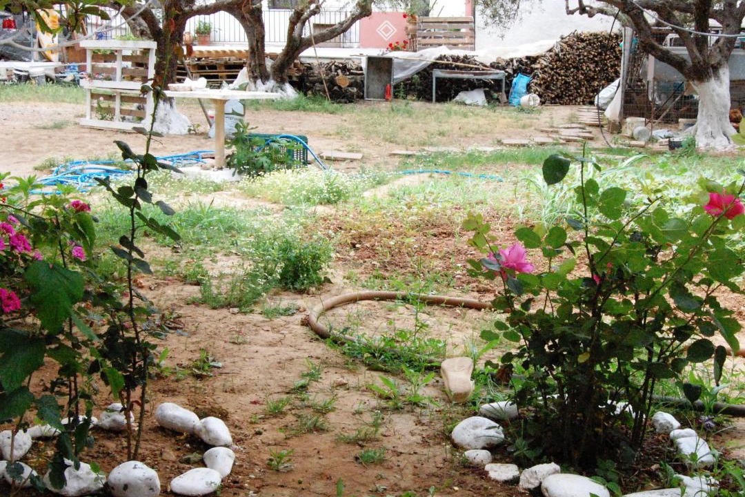 Photo of Others in Kissamos