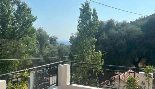 Deluxe Double or Twin Room with Balcony