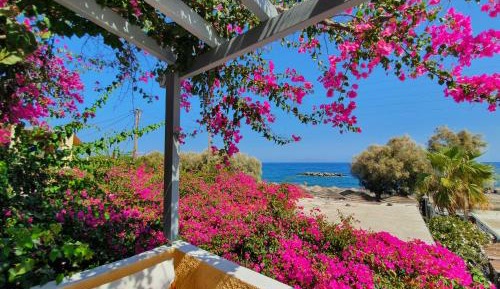 Double Room with Balcony and Sea View